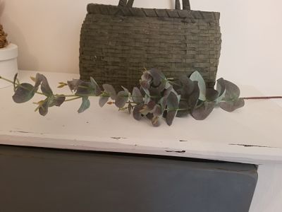 Purple Eucalyptus  leaf pick